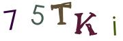 Image CAPTCHA