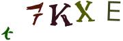 Image CAPTCHA